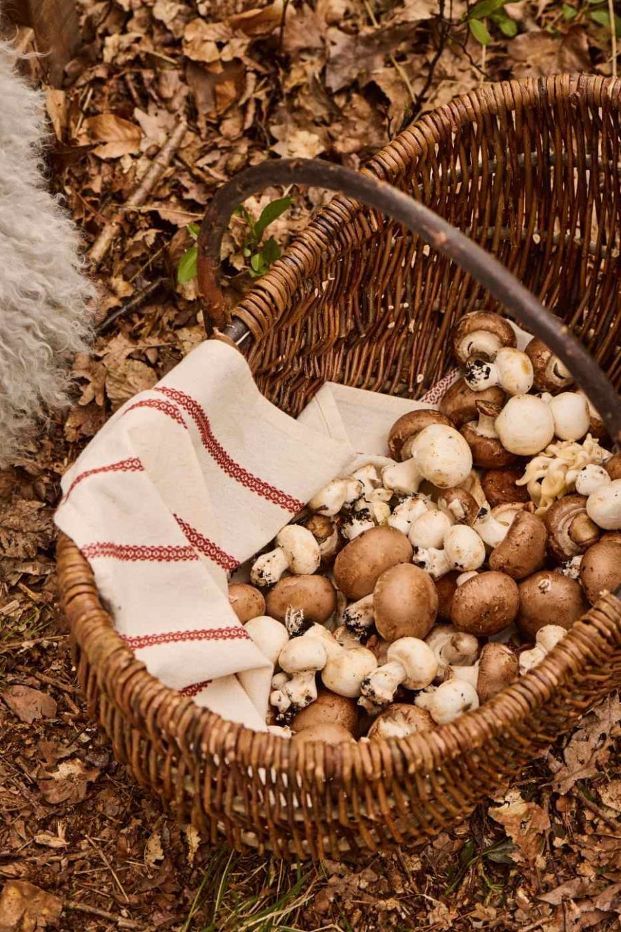 Ib Laursen Rebecca Geschirrtuch 50x70 cm, Natur/Rostfarben