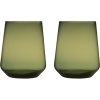 Iittala Essence Wasserglas 2er Set, 35 cl, Moosgrn