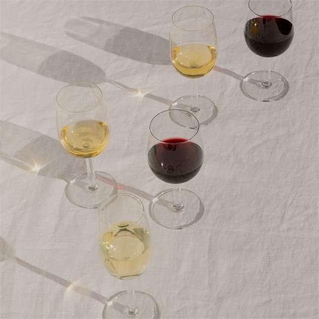 Iittala Raami Champagnerglas 2er Set 24 cl