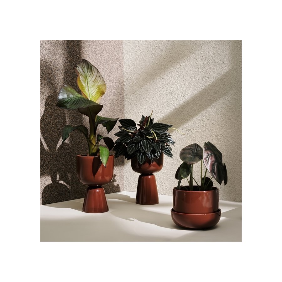 Iittala Nappula Blumentopf mit Untersetzer 17x13 cm, Braun