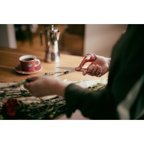 Fiskars X Iittala Brand Collaborations Saks 21 cm, Rød