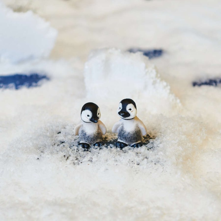 Klarborg Baby-Pinguine, Pingo & Pjevs