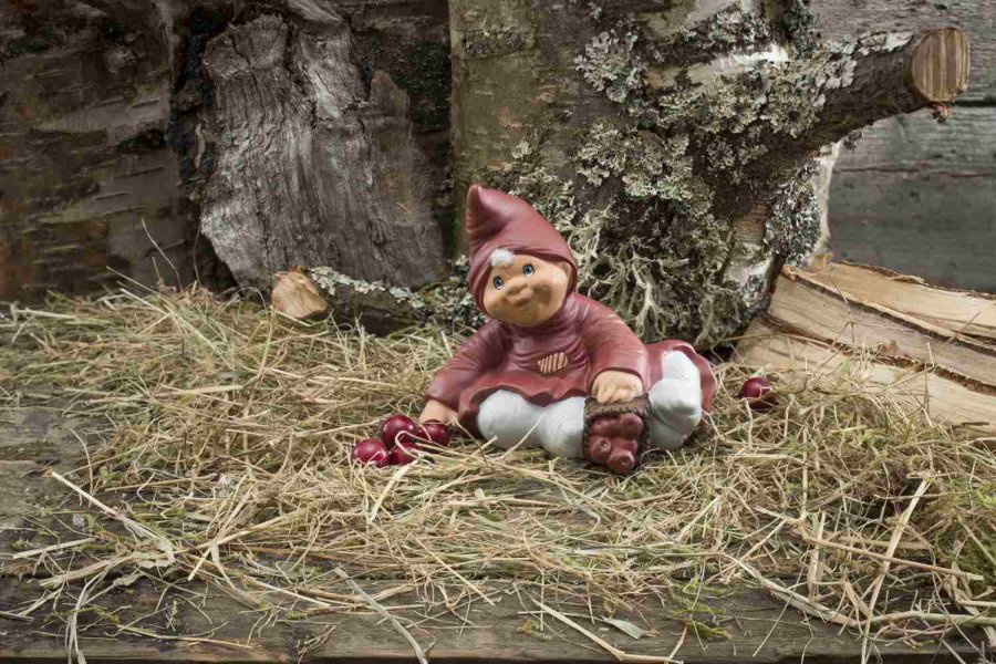 Klarborg Nisse, Caroline