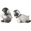 Klarborg Baby-Pinguine, Futte & Gumbi