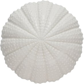 Lene Bjerre Shellille Seeigel 15,5 cm, Wei&szlig;
