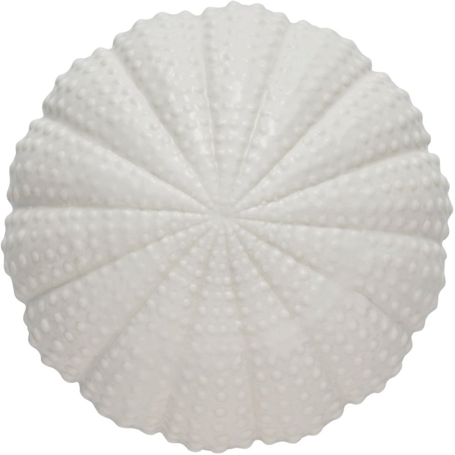 Lene Bjerre Shellille Seeigel 15,5 cm, Wei&szlig;