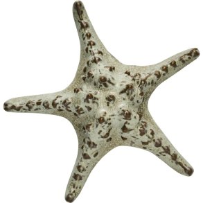Lene Bjerre Shellille Seestern 16,5 cm, Sand