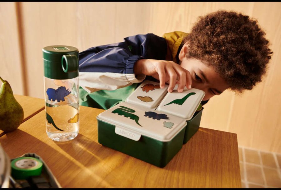 LIEWOOD Driss Brotdose 1,2 L, Dinosaurs/Mist