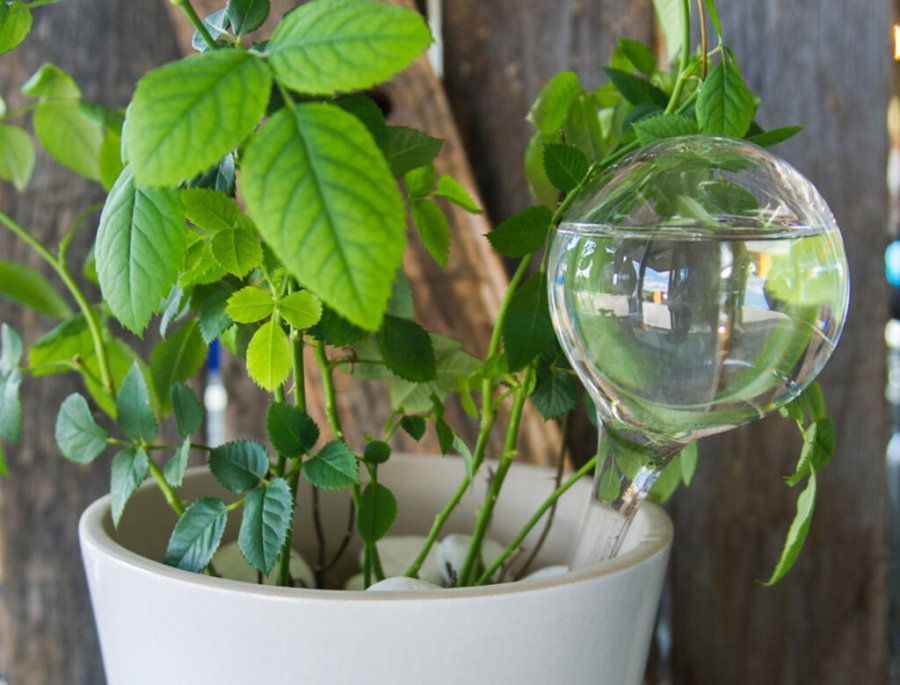 Muurla Vandingsp�re 2 stk 28 cm