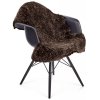 NATURES Collection Lammfell gelockt Kurzhaar Premium 115x60 cm, Cappuccino