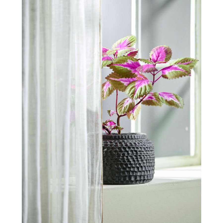 Nordal Aoba Topf H13 cm, Grau