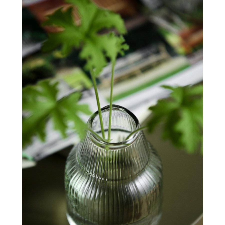 Nordal Jura Vase H11,5 cm, Klar