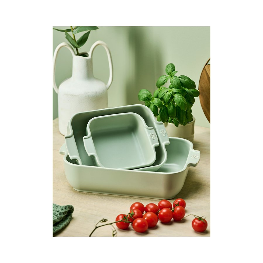 Peugeot Appolia Ovnfast Fad 22x12 cm, Salviegrn