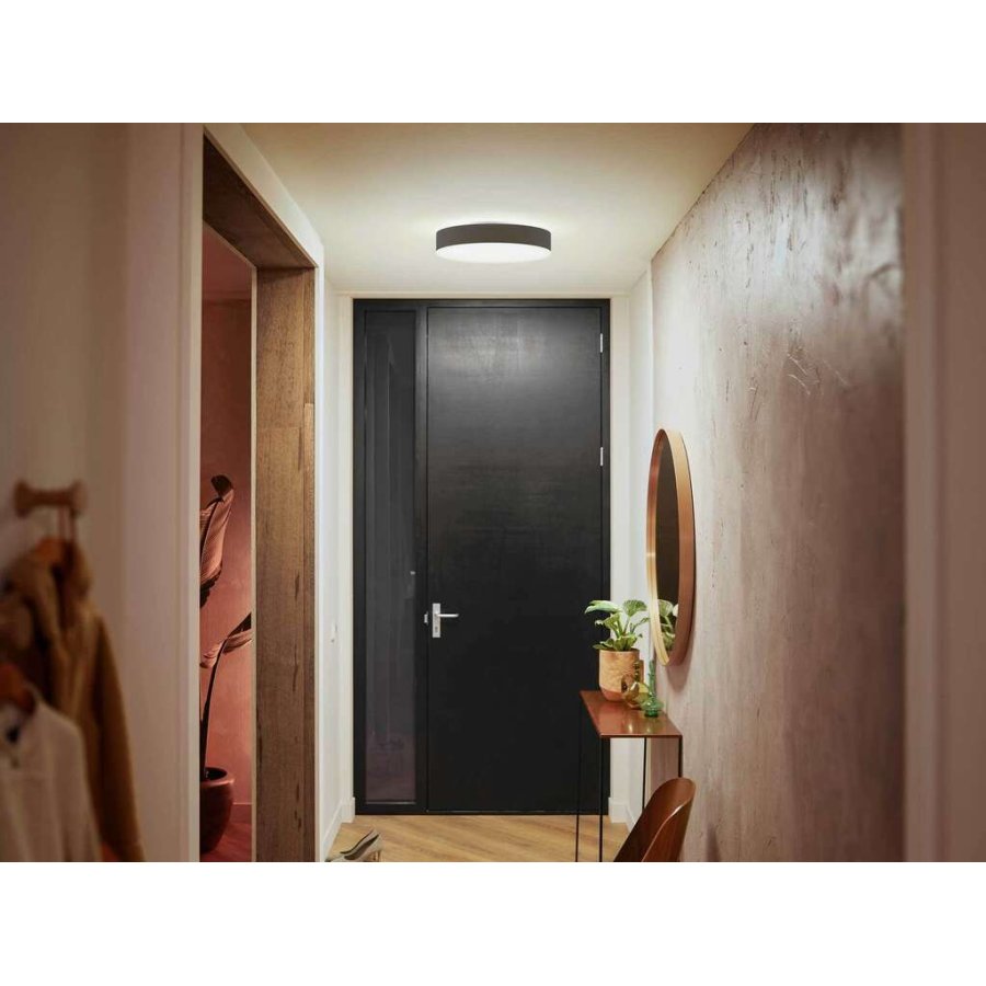 Philips Hue Enrave Deckenlampe 38,1 cm, Schwarz