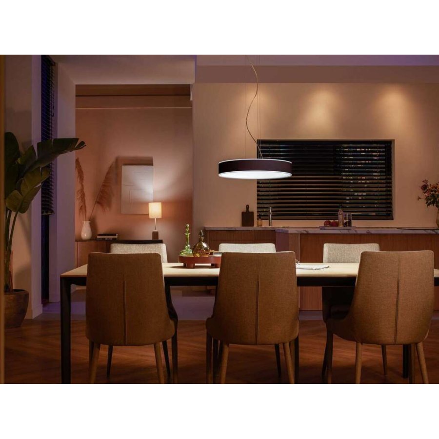 Philips Hue Enrave Pendelleuchte 42,5 cm, Schwarz