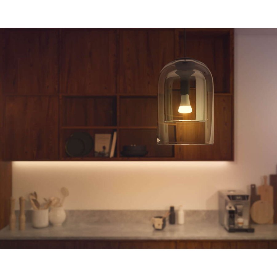 Philips Hue White Ambiance A67 Glhbirne E27 1600 Lumen 6,7 cm