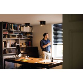Philips Hue Pillar Spotlampe m. Switch 12 cm, Sort