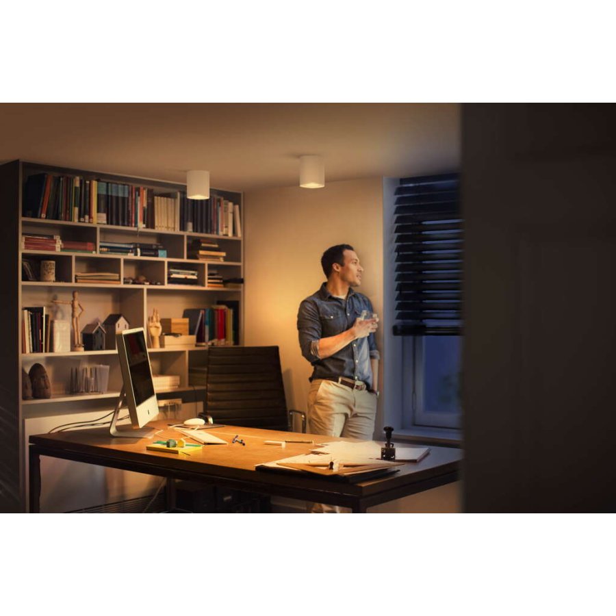 Philips Hue Pillar Spot mit Switch, 12 cm, Wei