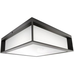 Philips Skies Auenwandleuchte 26 cm, Anthrazit