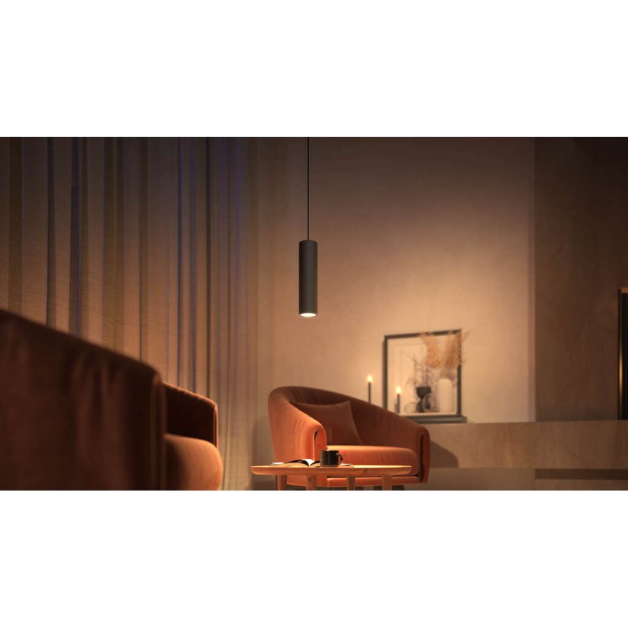 Philips Hue Perifo Pendel 25,5 cm, Sort