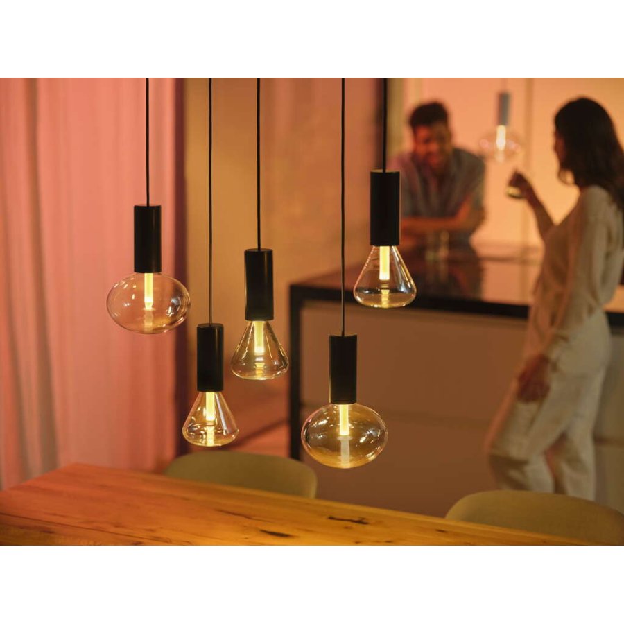 Philips Hue Lightguide Ellipse Glhbirne E27 500 Lumen