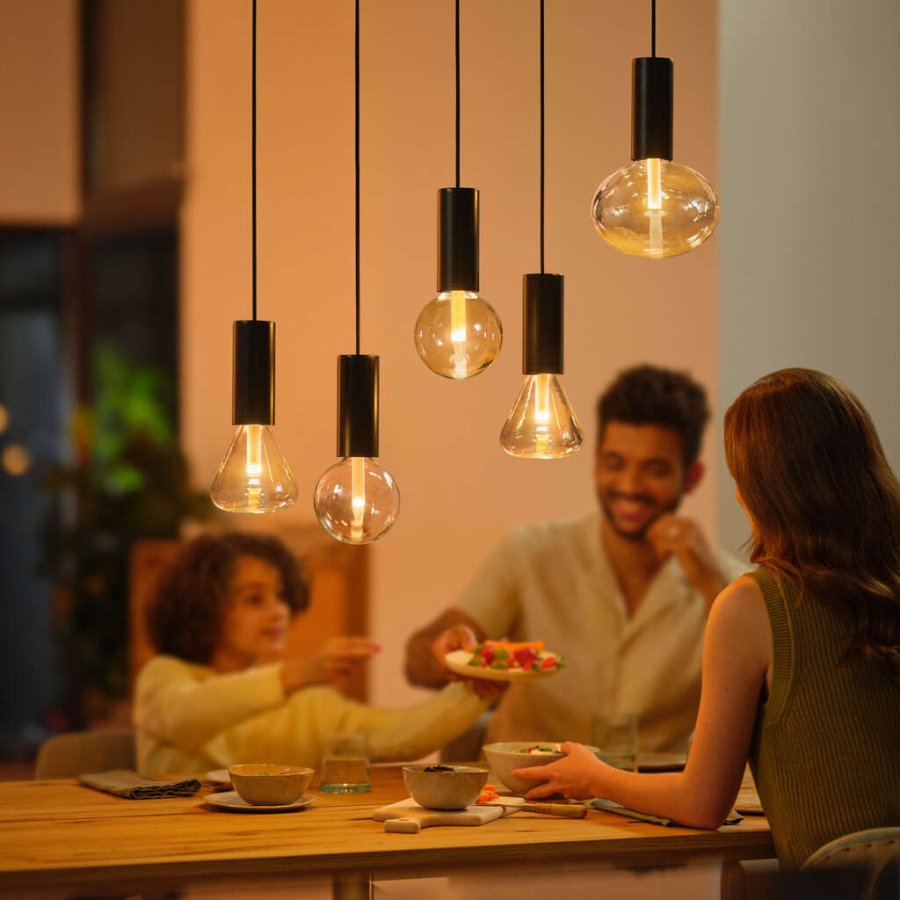 Philips Hue Lightguide Kordel fr Pendelleuchte 150 cm, Schwarz