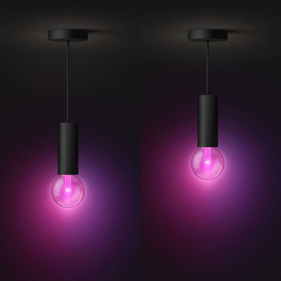 Philips Hue Lightguide Kordel fr Pendelleuchte 150 cm, Schwarz