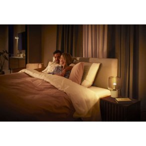Philips Hue White Ambiance P45 Kronepærer E14 470 Lumen 2 stk. Ø4,5 cm