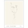 Poster & Frame Mie & Him Poster Les Fleurs 02 50x70 cm