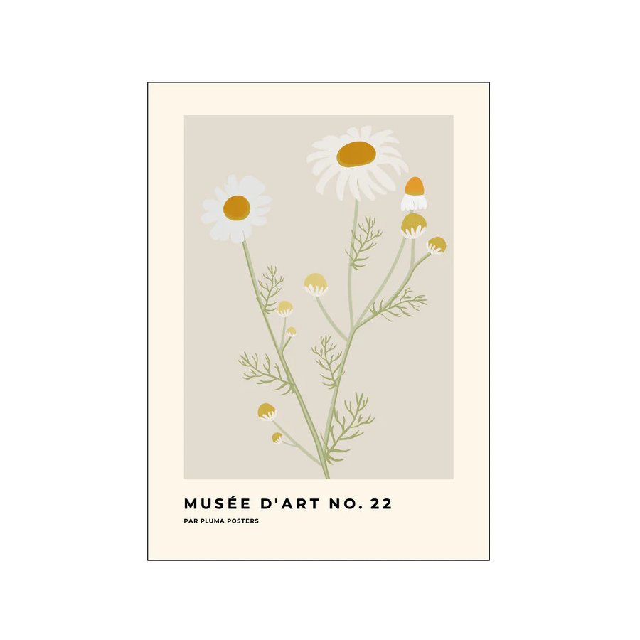 Poster & Frame Pluma Poster Muse D'Art No. 22 50x70 cm