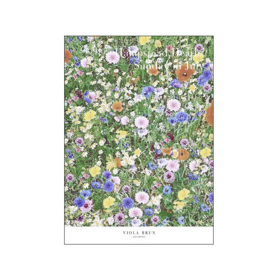 Poster & Frame Viola Brown Poster Hampstead heath 50x70 cm