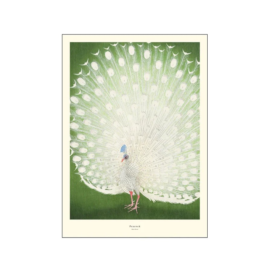 Poster & Frame A.P. Atelier Poster Peacock A3