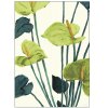 Poster & Frame Dorthe Svarrer Poster Anthurium Grn A3