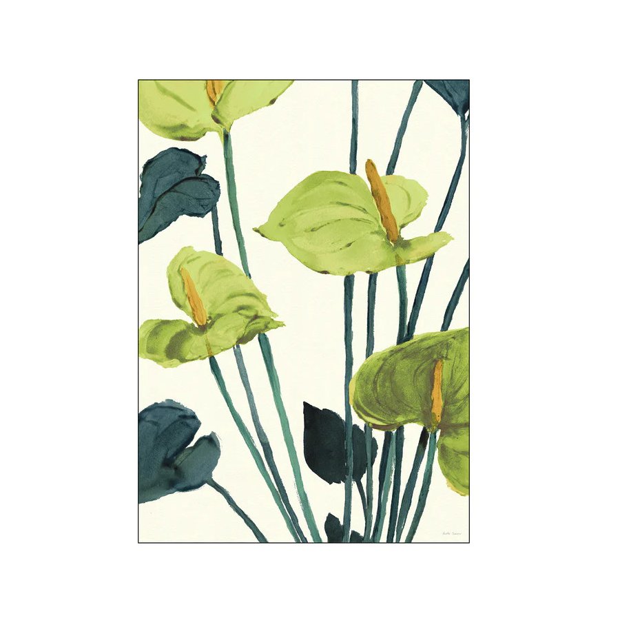 Poster & Frame Dorthe Svarrer Poster Anthurium Grn 50x70 cm