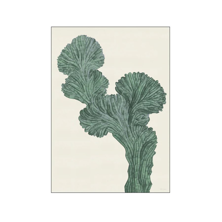 Poster & Frame Dorthe Svarrer Poster Cactus Myrtillo 50x70 cm