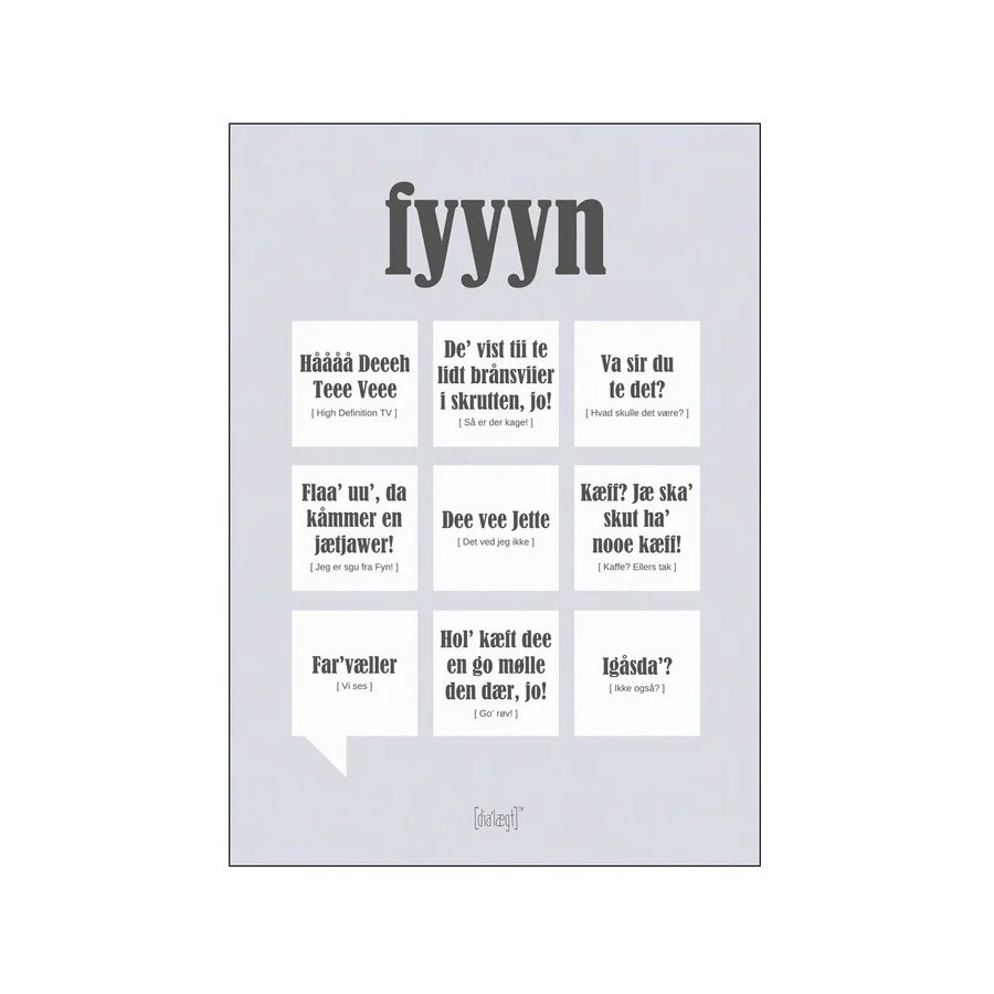 Dialgt Fyyyn Plakat A3