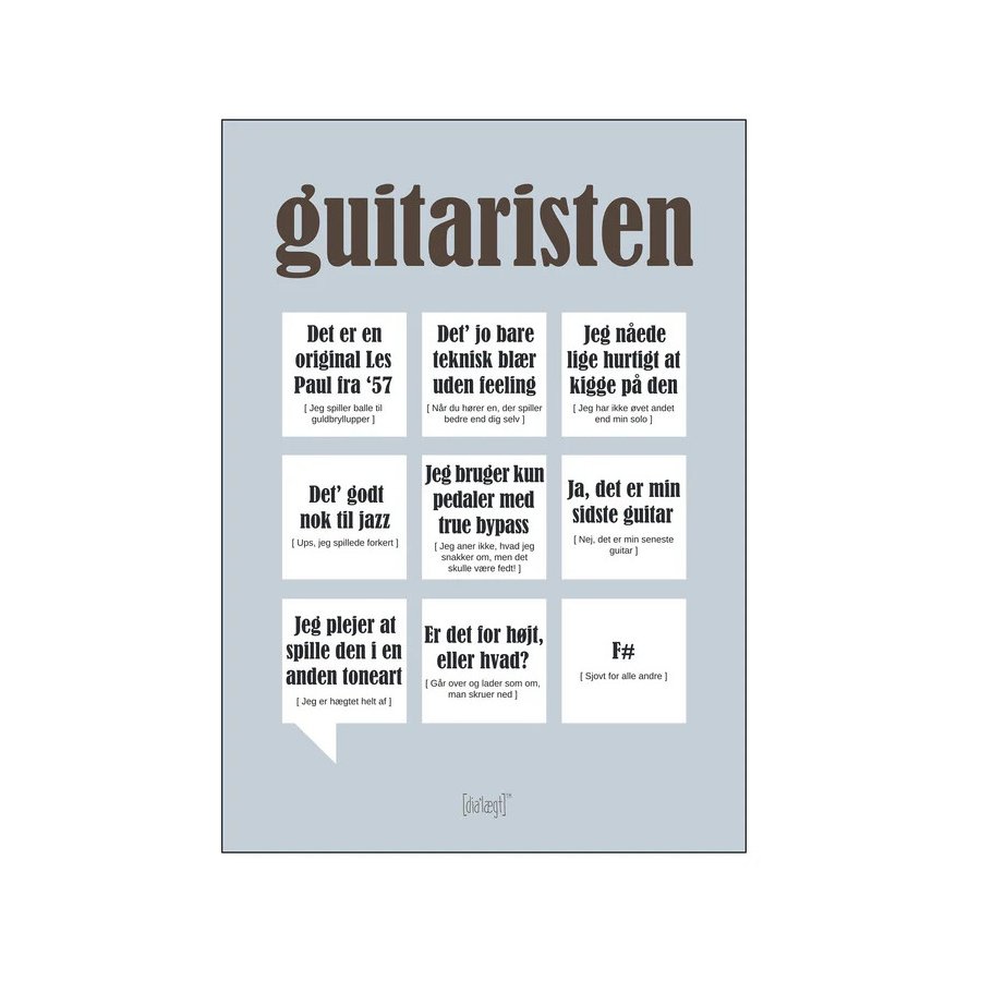 Dialgt Guitaristen Plakat A3