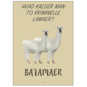 Citatplakat Ba'lamaer A3