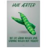 Citatplakat Hva rter A3