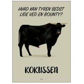 Citatplakat Kokussen A3