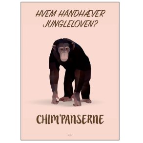 Citatplakat Chim'panserne A3