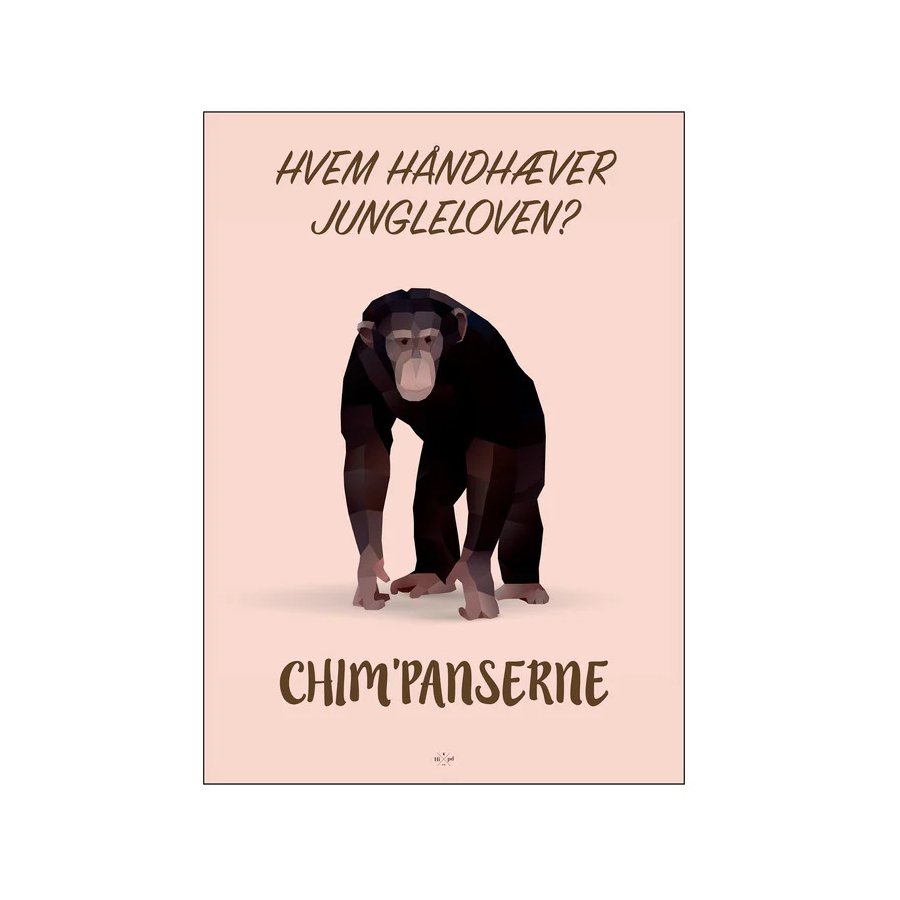 Citatplakat Chim'panserne 50x70 cm