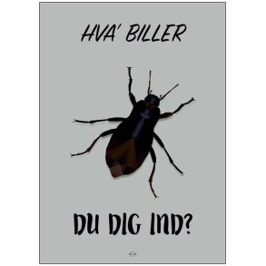 Citatplakat Hva' Biller Du Dig Ind A3