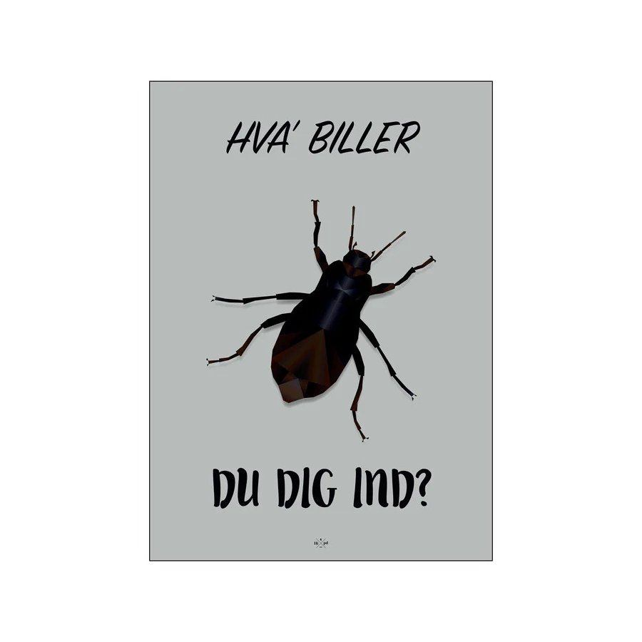 Citatplakat Hva' Biller Du Dig Ind A4
