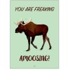 Citatplakat Amoosing A3
