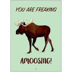 Citatplakat Amoosing 50x70 cm