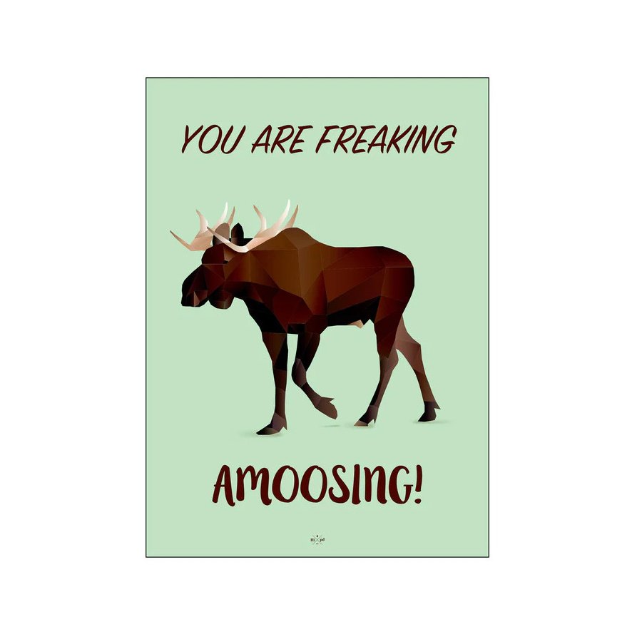 Citatplakat Amoosing A3