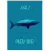 Citatplakat Haj Med Dig A4