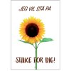 Citatplakat St P Stilke A3