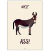 Citatplakat Nice Ass A3